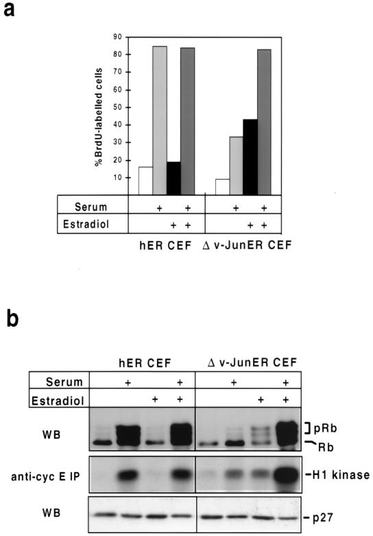 FIG. 8