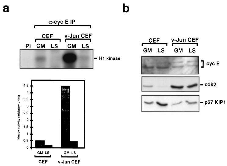 FIG. 7