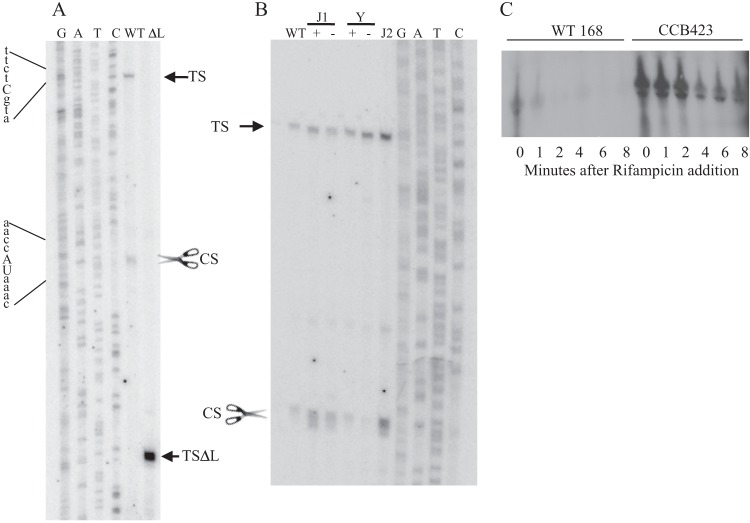 FIG 3