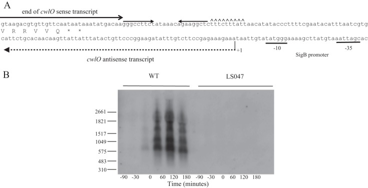 FIG 4