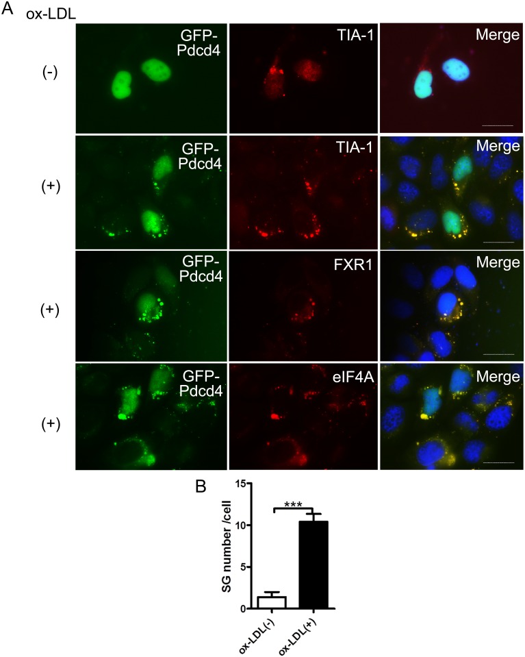 Fig 4