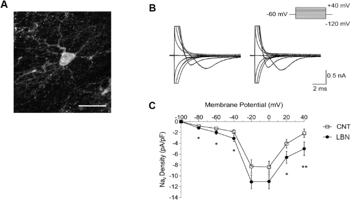 Fig. 4