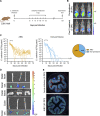 FIG 1