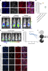 FIG 3