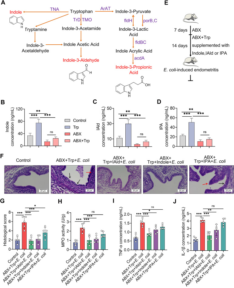 FIG 6