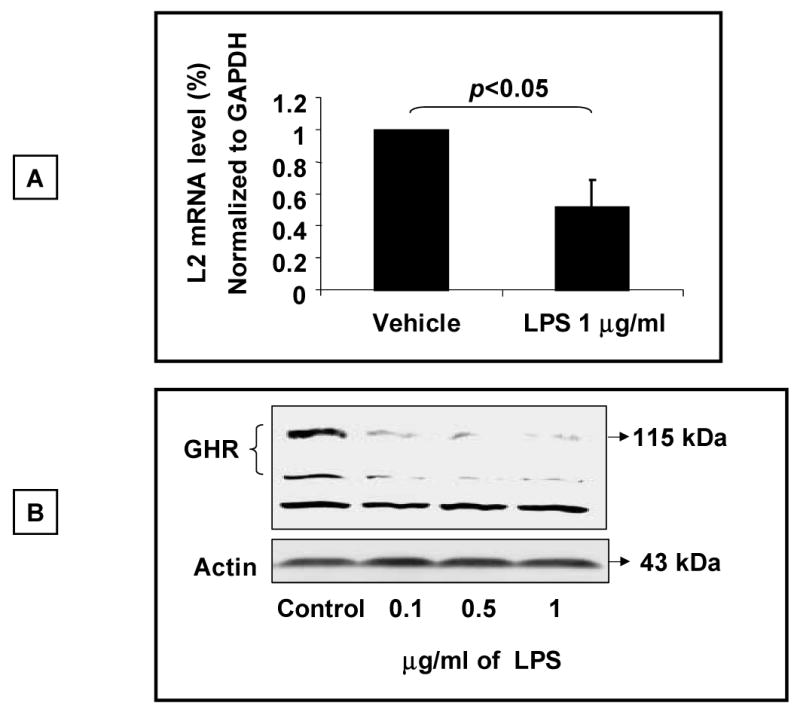 Fig.3