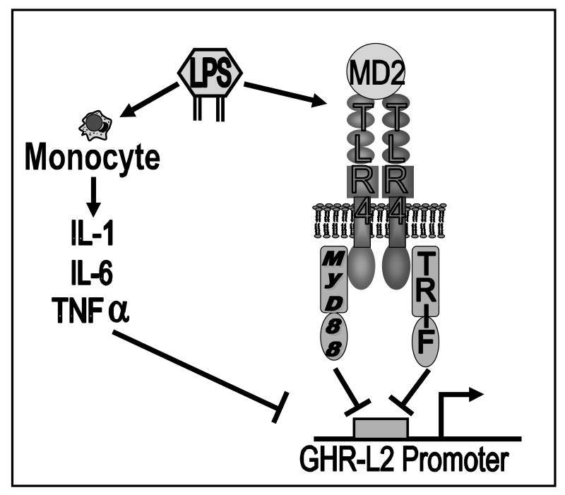 Fig.7