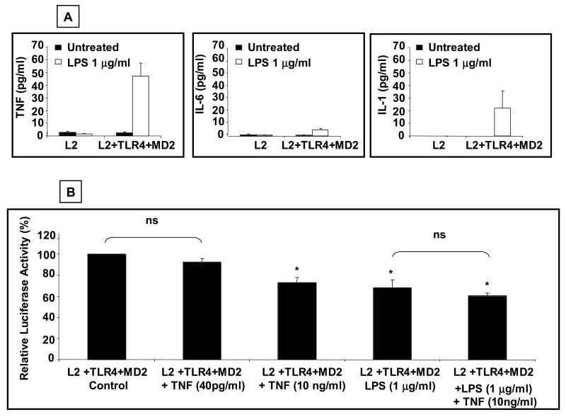 Fig.2