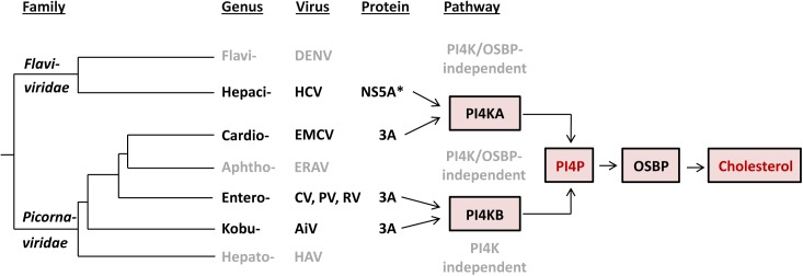 Fig 8