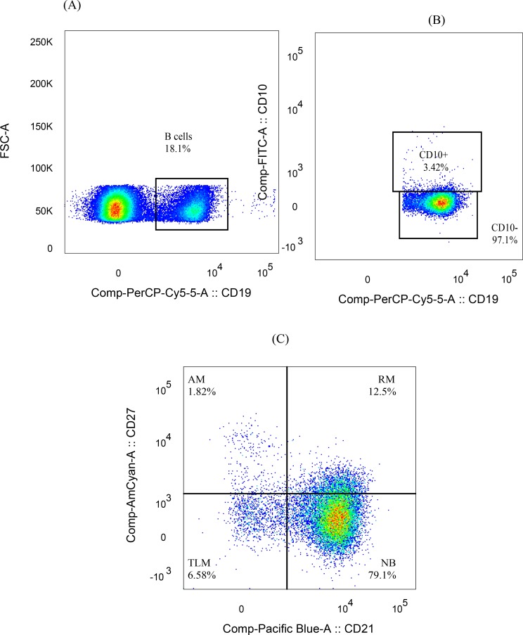 Fig 1