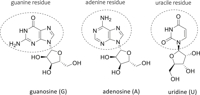 Fig. 3