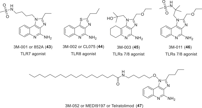 Fig. 23