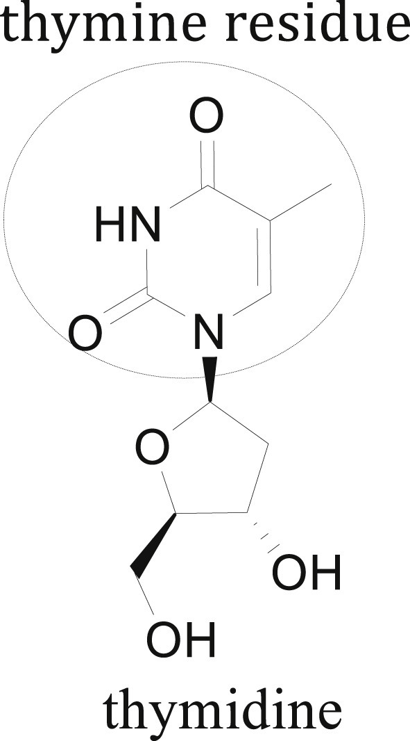 Fig. 32