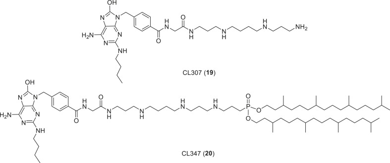 Fig. 10