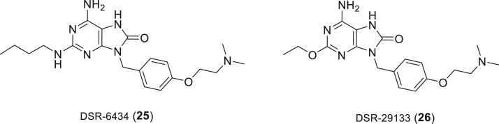 Fig. 13