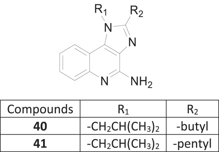 Fig. 21