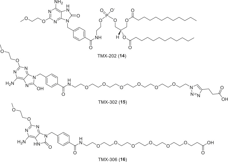 Fig. 8