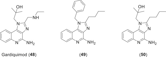 Fig. 24