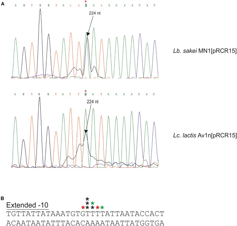 FIGURE 6