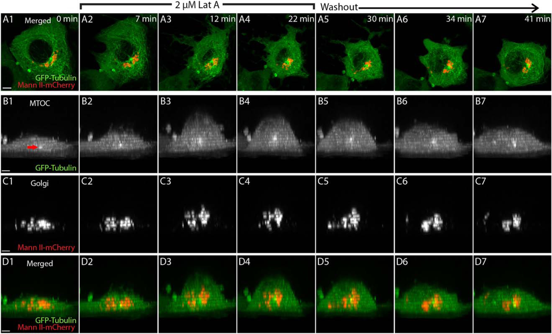 FIGURE 6