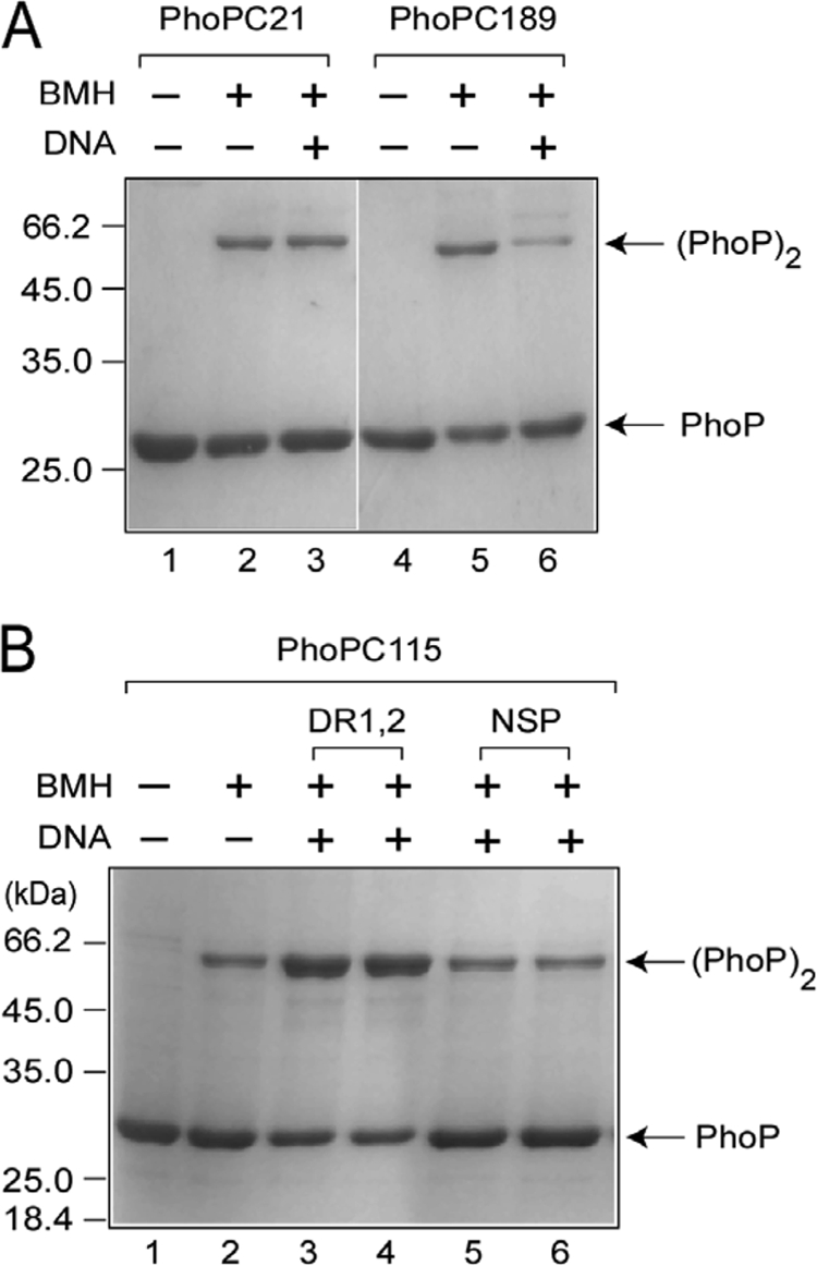 FIG. 5.