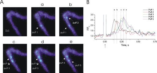 FIGURE 2.