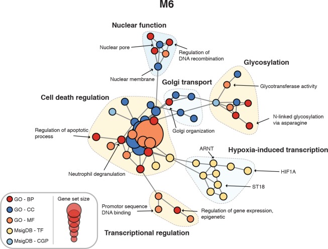 Figure 4—figure supplement 3.