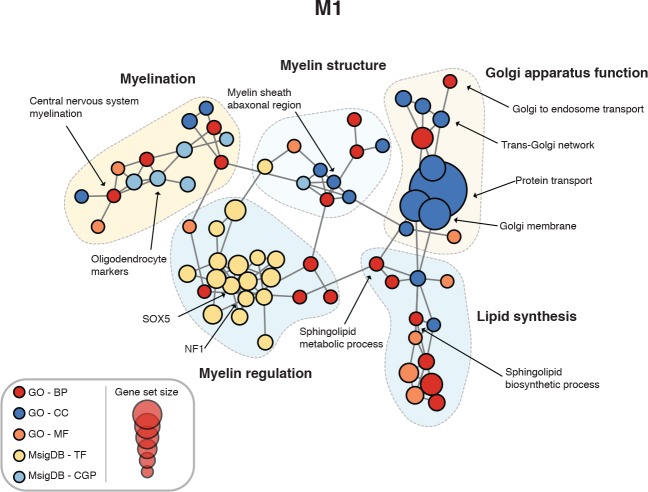 Figure 4—figure supplement 1.