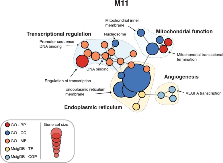 Figure 4—figure supplement 4.