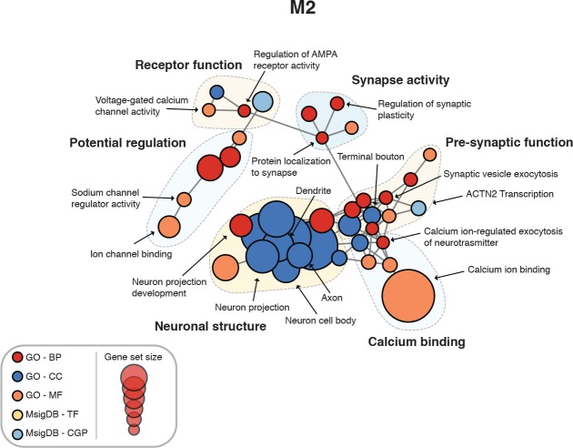 Figure 4—figure supplement 2.