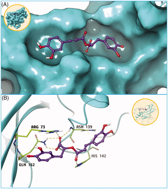 Figure 10.