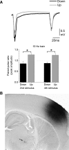 FIG. 9.