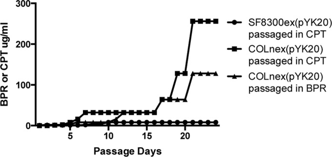 FIG 1