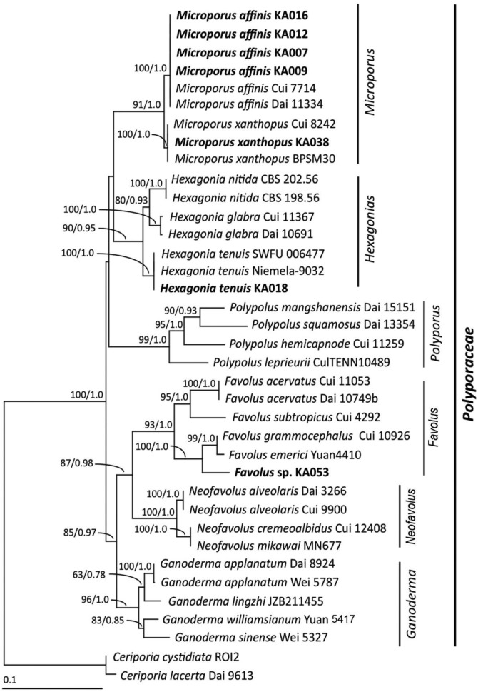 Fig. 2.