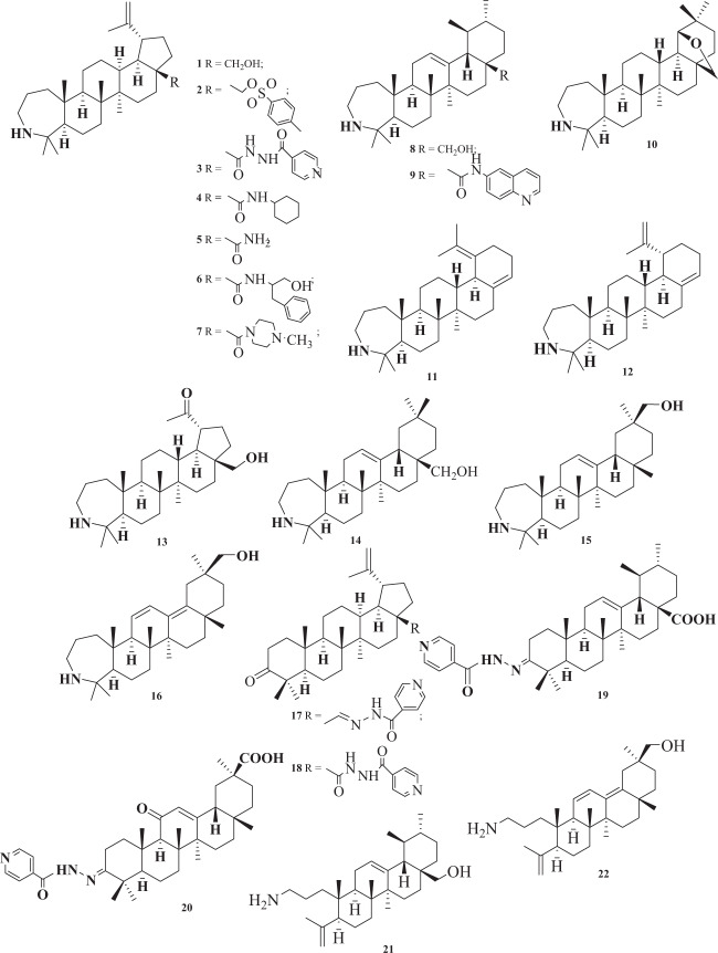 Fig. 1