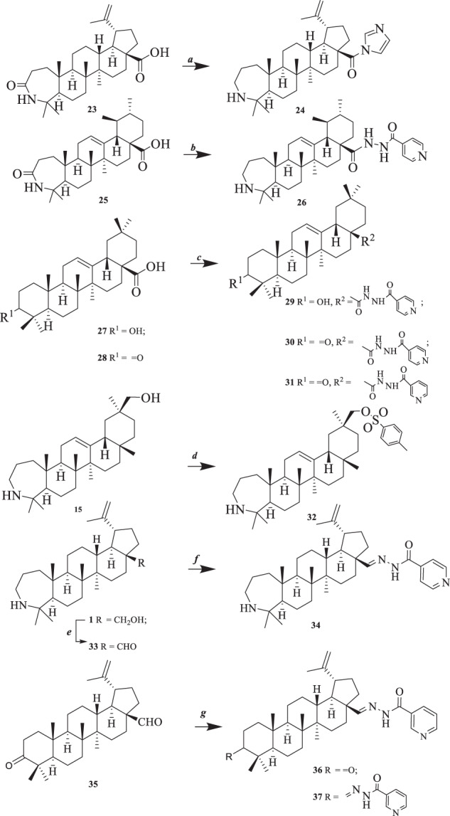 Scheme 1