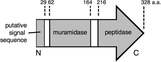 FIG 2