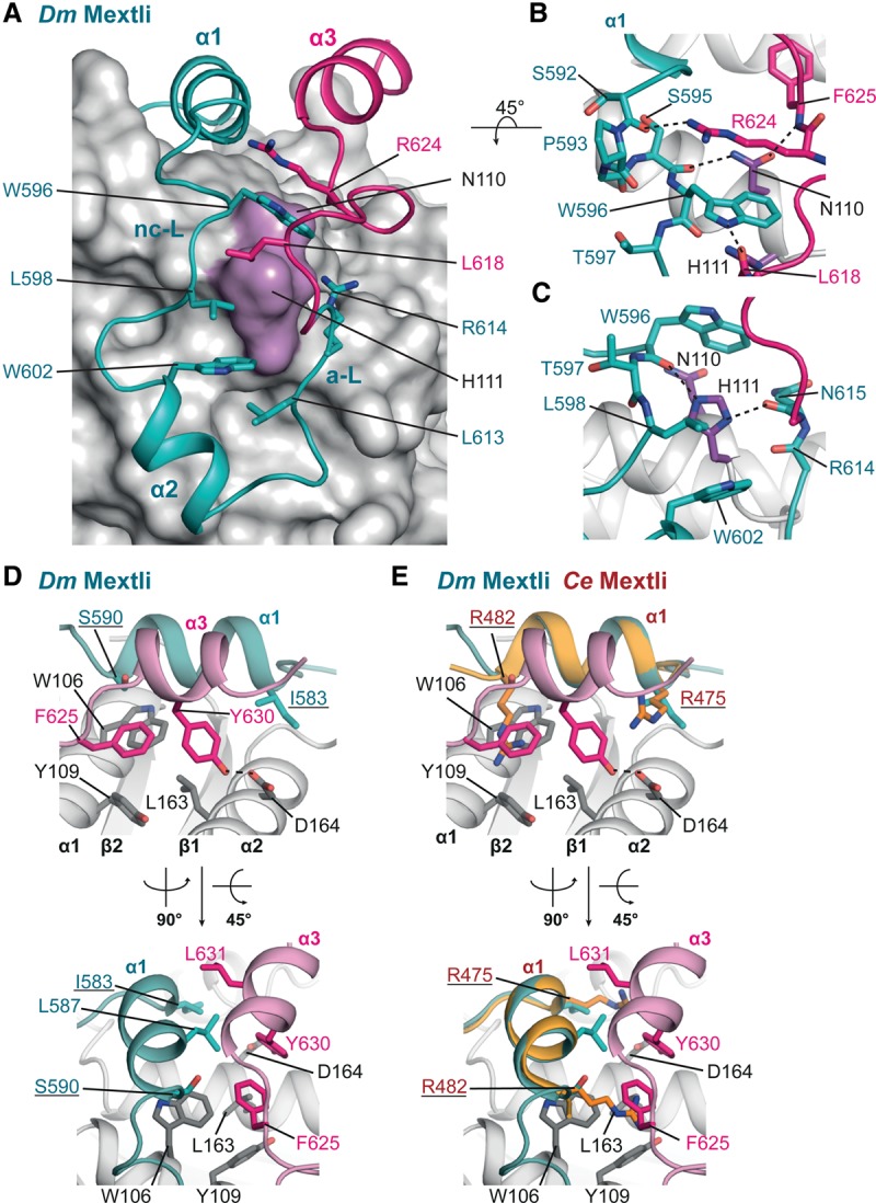 Figure 5.