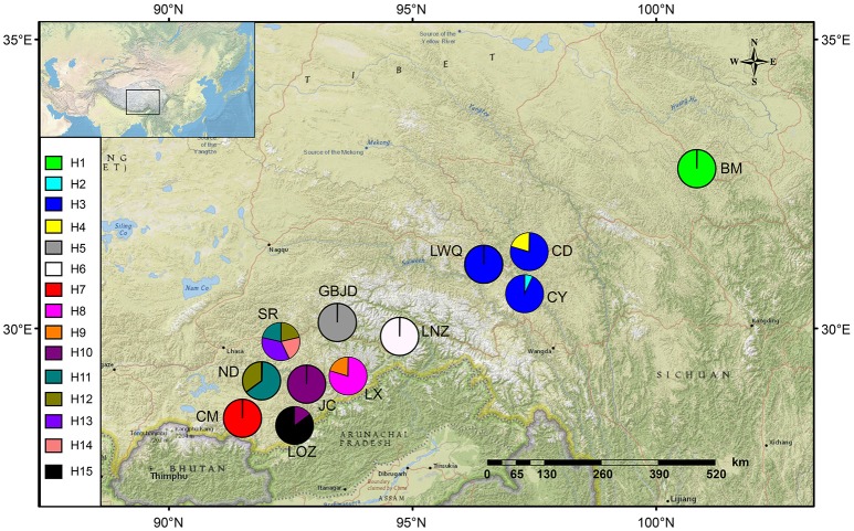 Figure 2