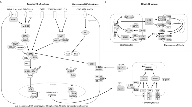 Figure 1: