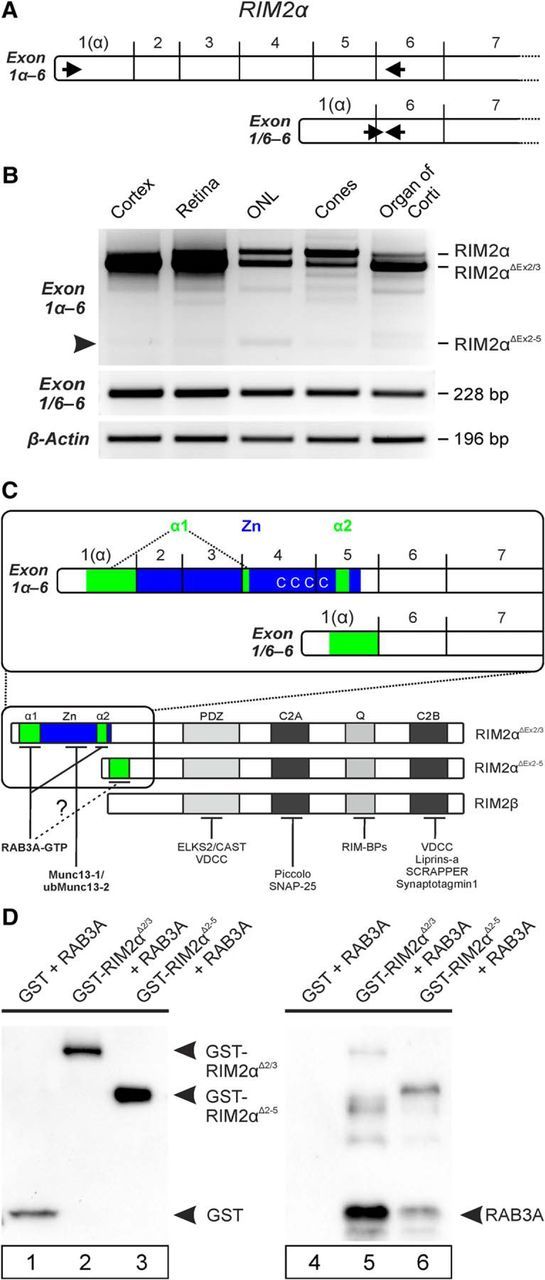 Figure 6.