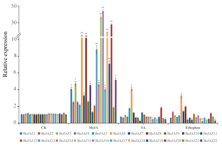 Figure 7