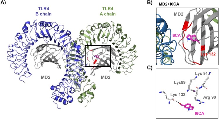 Figure 6.