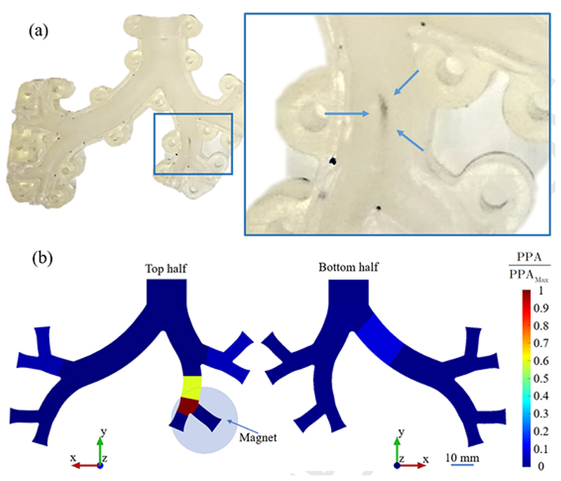 Fig. 7