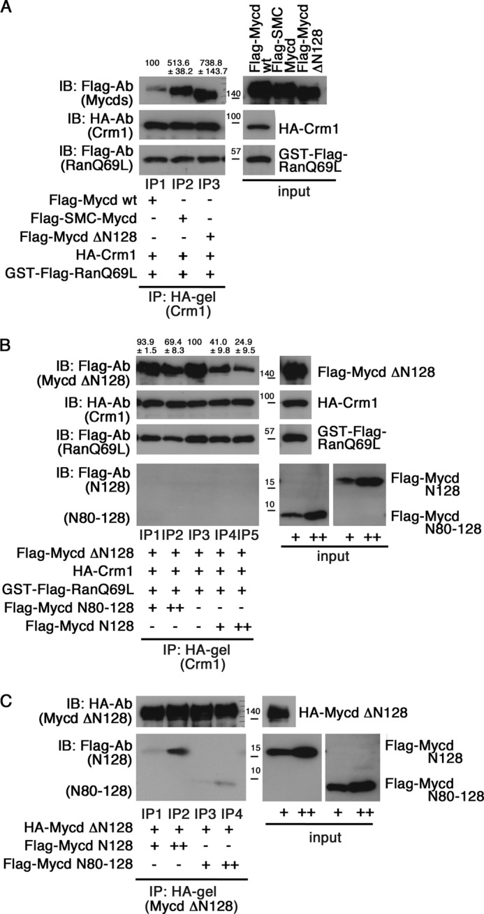 FIGURE 10.