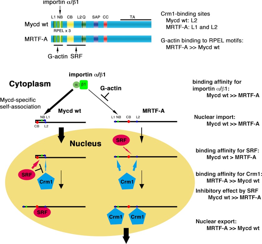 FIGURE 12.