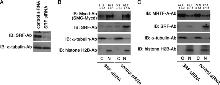 FIGURE 11.