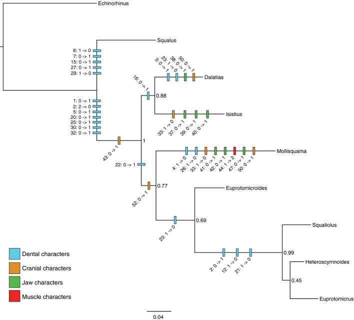 Figure 13