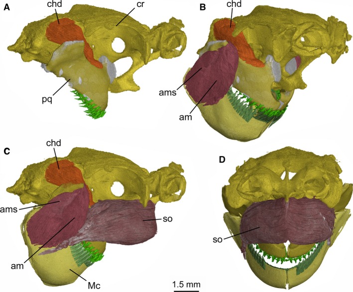 Figure 12