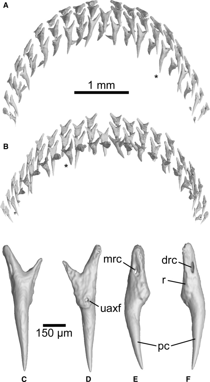 Figure 8